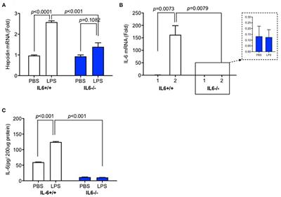 Central Nervous System Inflammation Induced by Lipopolysaccharide Up-Regulates Hepatic Hepcidin Expression by Activating the IL-6/JAK2/STAT3 Pathway in Mice